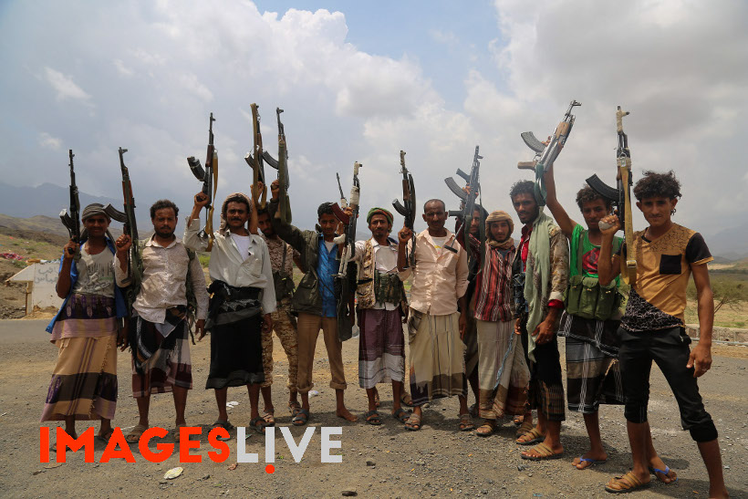 Pro-government forces have captured three important villages on a strategic route linking the city of Taiz to the western coast of Yemen